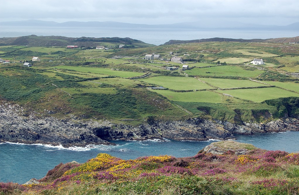 © Cape Clear (Peter Gorman CC BY-NC-SA 2.0)