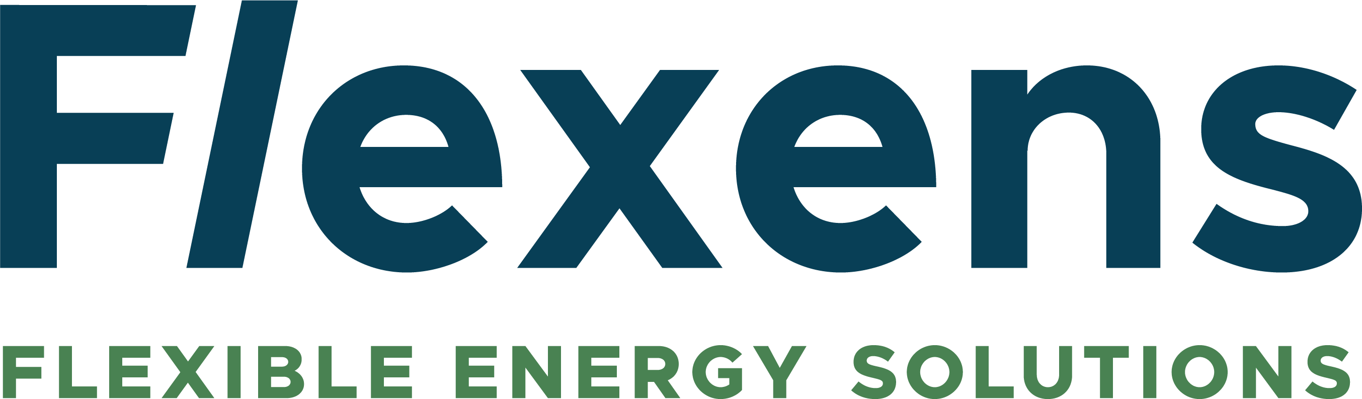 Flexens company logo
