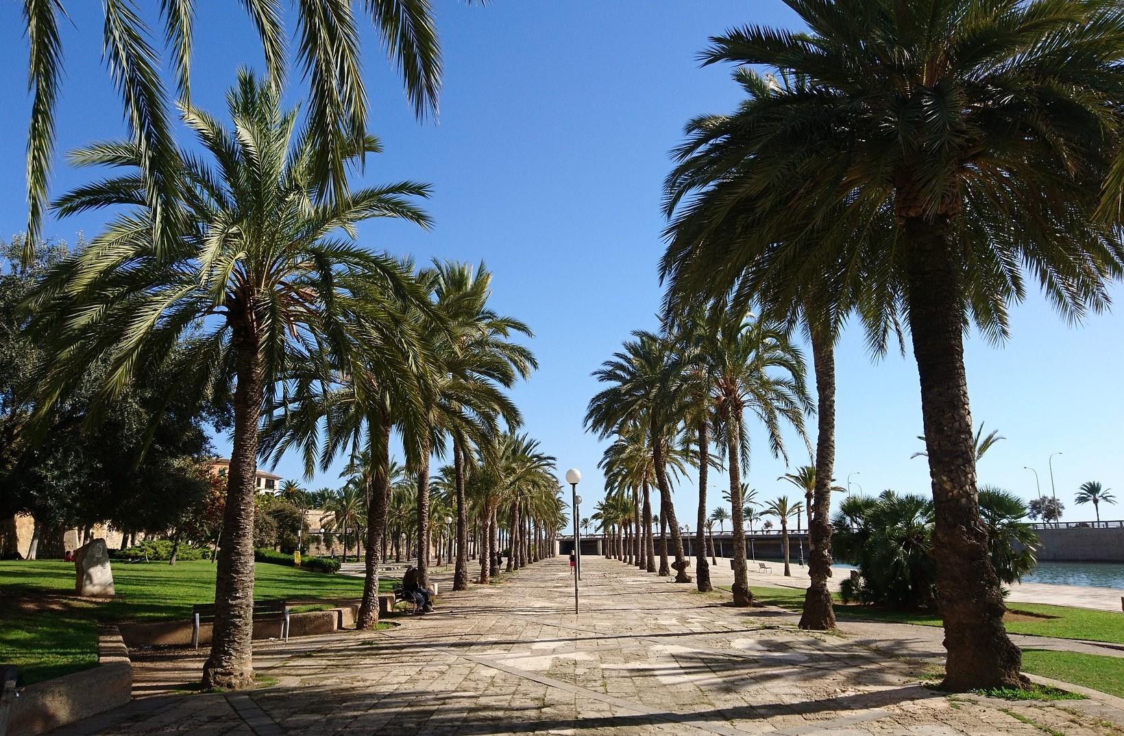 palmademallorca